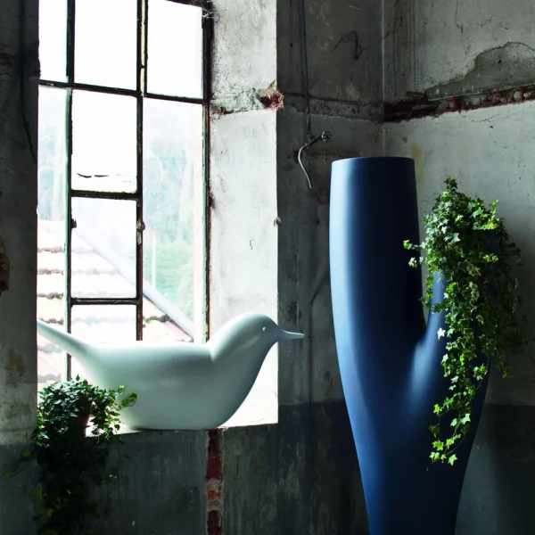 Paloma - Image 4