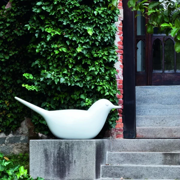 Paloma - Image 7