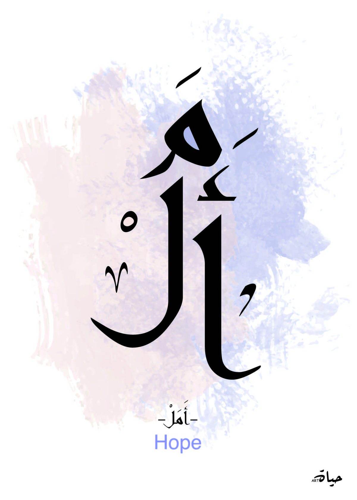 amal copy
